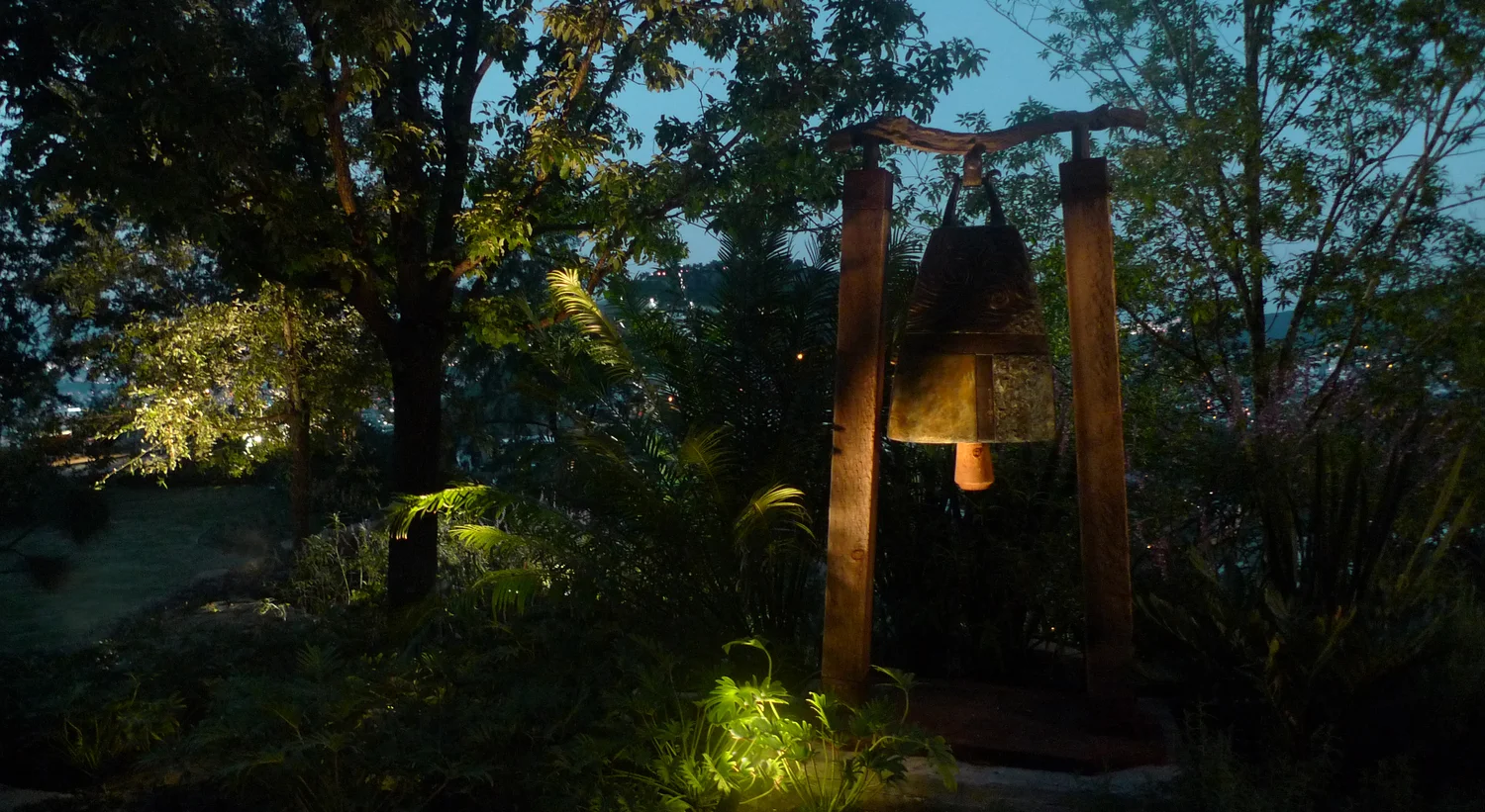 G Site — trees glowing from downlights hung in the branches