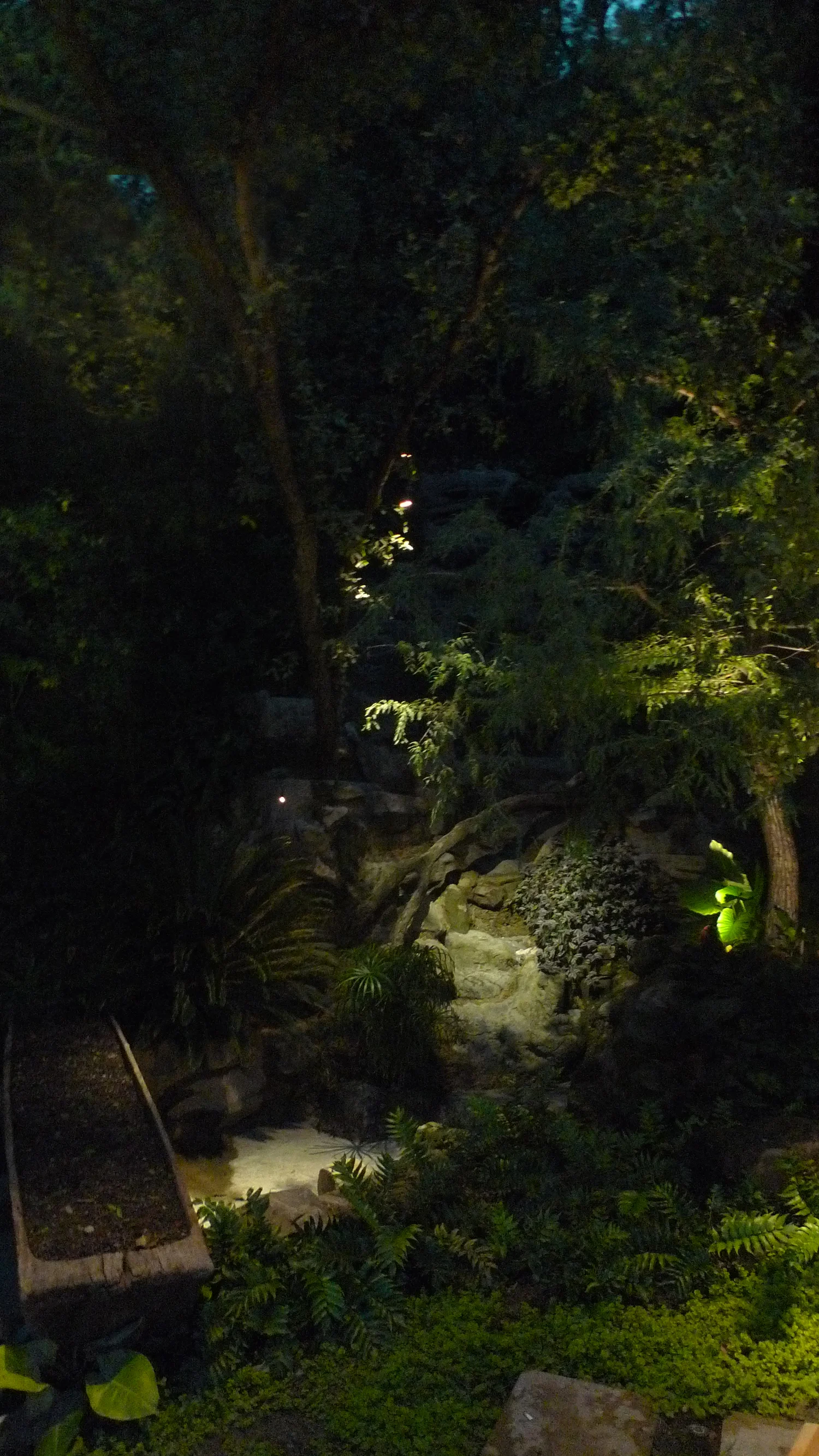 G Site — trees uplit against the dark mountainside