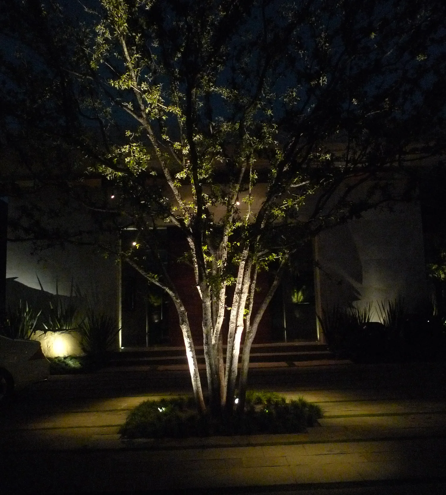 G Site — graded plaza and corridor lighting at dusk