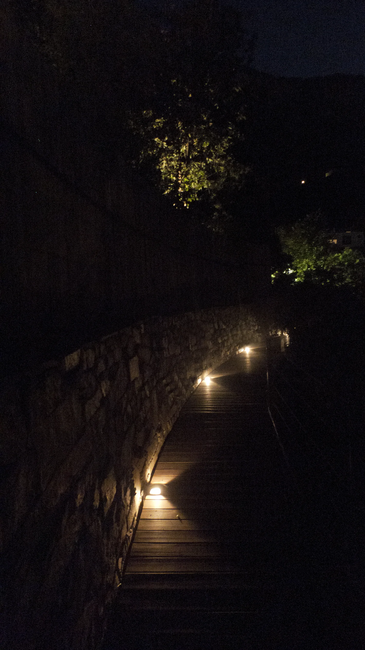 G Site — downlights marking a corridor through the garden