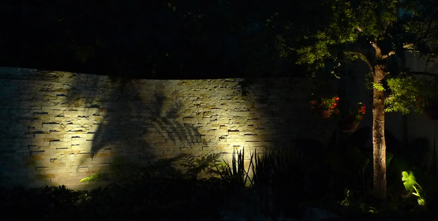 G Site — façade walls barely shining through the forest