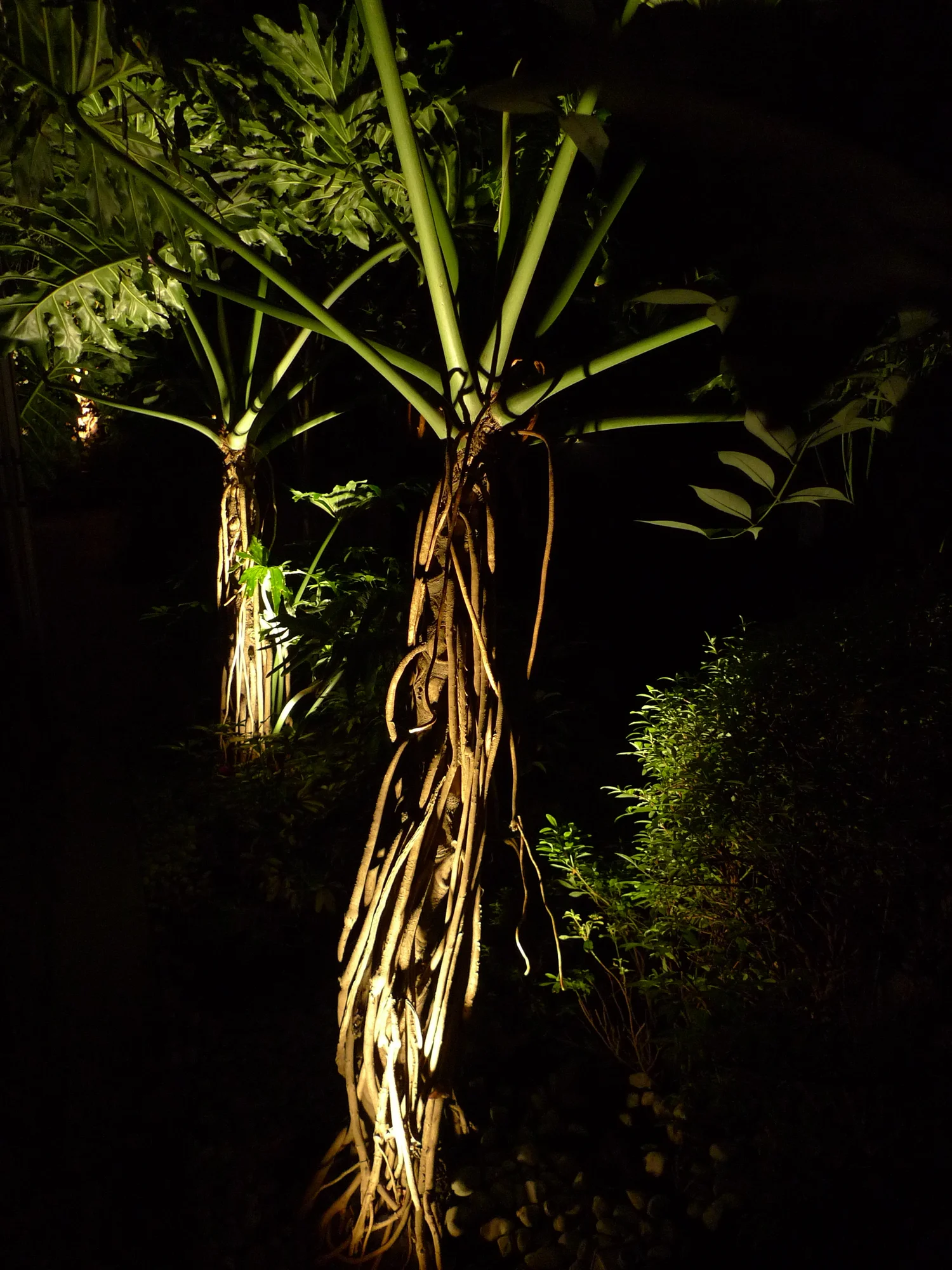 L Residence — garden lighting extending the home after sunset
